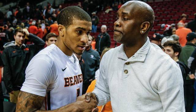 球队球迷总 球队球迷总